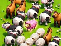 Farm Escape Puzzle Game — 농장 탈출 퍼즐 플레이 안내