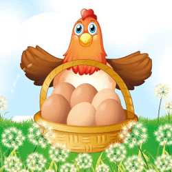 Egg Collector — 달걀 수집 러너 플레이 안내